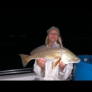 Meet your Posher, Ethan